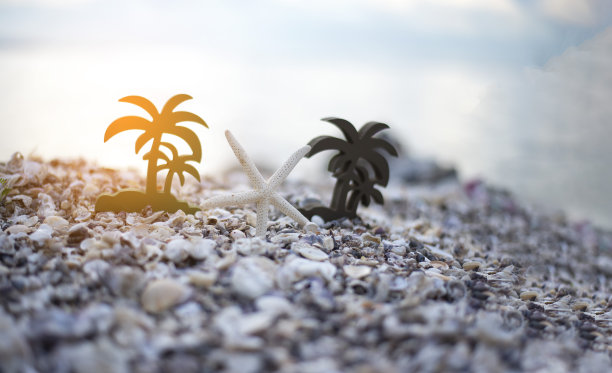 海星在夏天的沙滩上，蓝色的大海在背景和小波浪。旅游、度假、度假在夏季宁静的度假度假理念。图片下载
