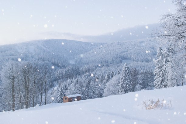 喀尔巴阡地区，美丽的雪景，松树林和木屋图片下载
