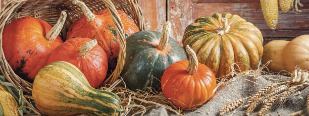 秋天的静物与南瓜和玉米在农村的房子，横幅。感恩节的概念有选择性的重点图片下载