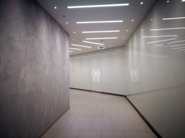 厕所的大理石墙上有男女形象。图片下载