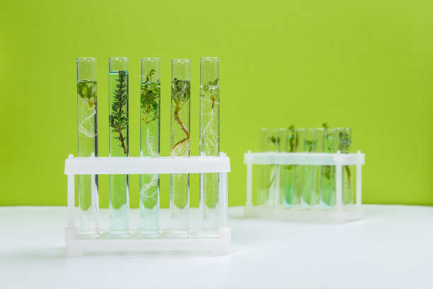 试管和其他实验室玻璃器皿，在绿色背景上有不同的植物图片下载