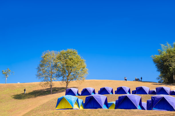 在泰国南的Doi samero - dao，在有爱树和蓝天的干草山顶露营，这是一个美丽的签到点图片下载