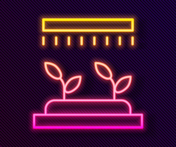 发光的霓虹灯线自动灌溉洒水图标孤立在黑色背景。灌溉设备。花园元素。喷枪图标。向量图片下载