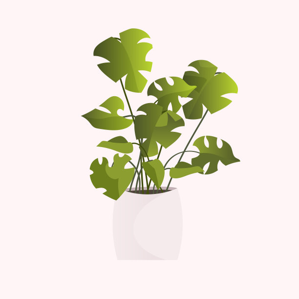 盆栽植物孤立在白色背景上图片下载