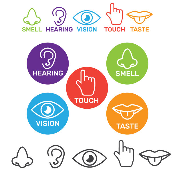五感矢量图标设置孤立的白色。嗅觉和视觉，感觉和听到插图图片下载