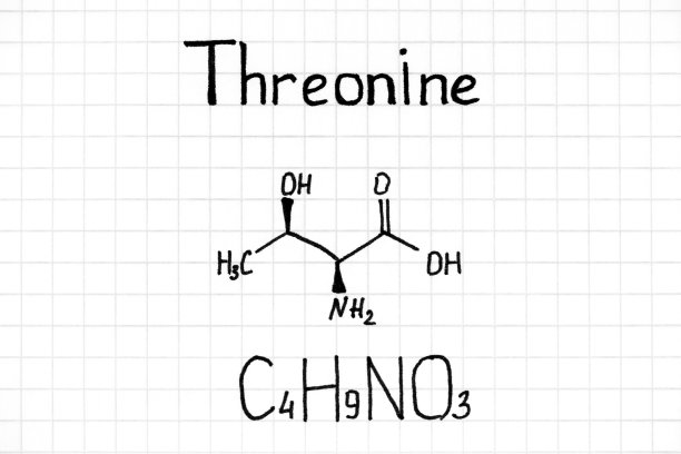 苏氨酸的手写化学式。图片下载