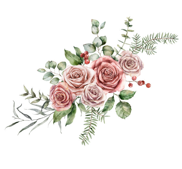 水彩圣诞花束粉红色的玫瑰，冷杉和桉树枝。手工绘制的节日贺卡与鲜花和树叶孤立在白色的背景。插图设计，印刷或背景。图片下载