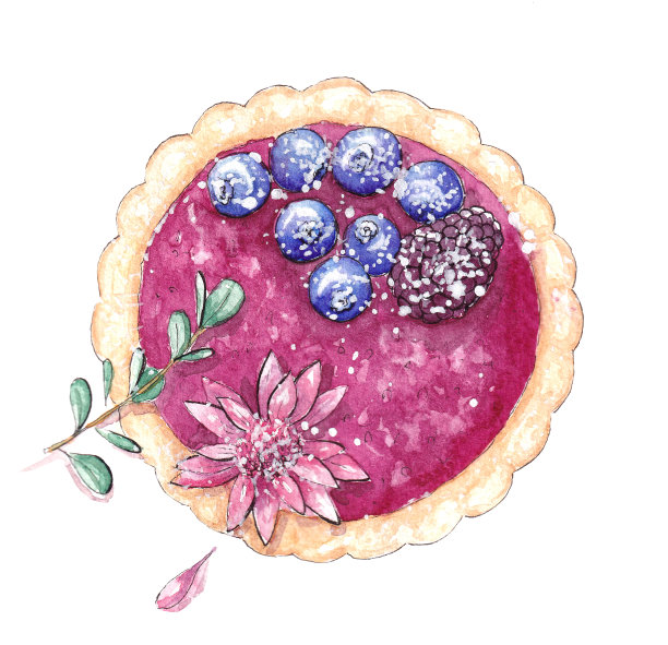手绘水彩食物素描。美味的甜点越桔图片下载