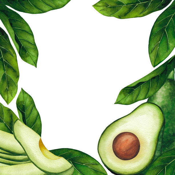 水彩牛油果和叶子孤立的白色背景图片下载