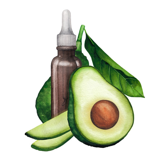 水彩精油瓶装饰与牛油果和树叶图片下载