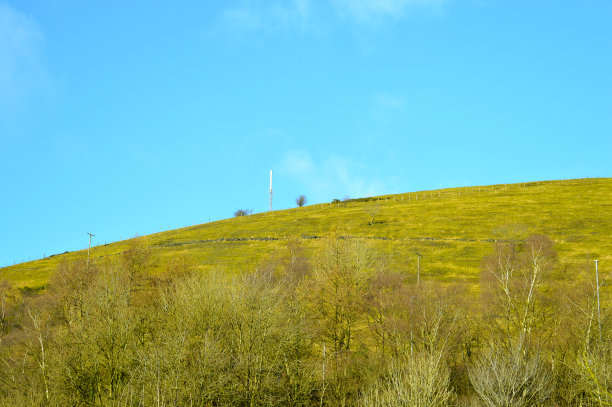 Saddleworth传输器图片下载