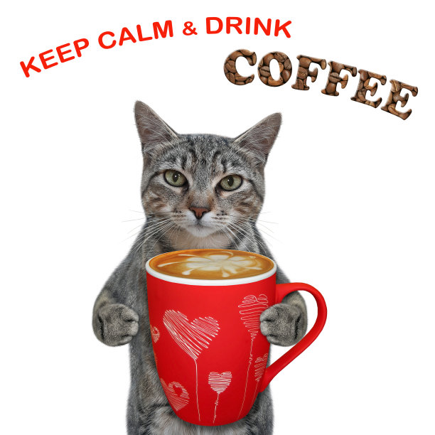 猫灰拿着一杯红咖啡图片下载