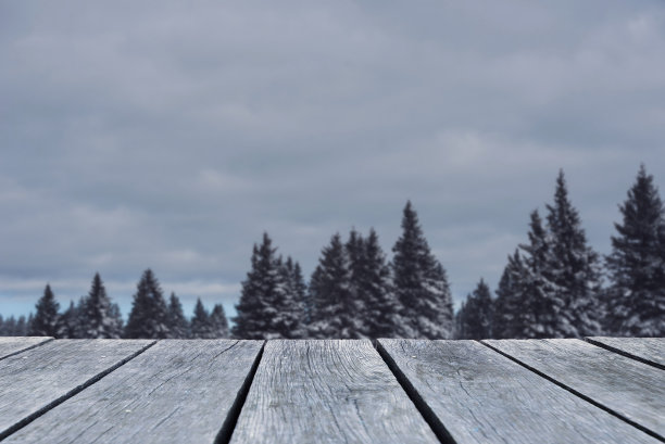 冬天的背景图片下载