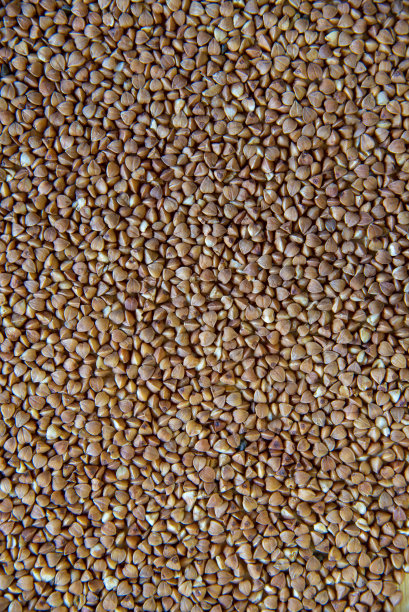 完整的干荞麦种子。图片下载