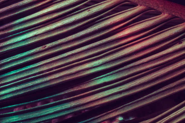 靠近美丽的棕榈叶在多色的光。简约复古风格的概念。背景图案纹理设计。图片下载