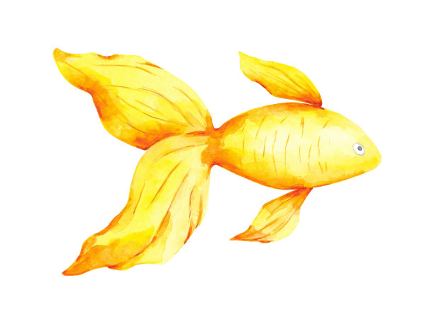 金鱼剪贴画图片下载