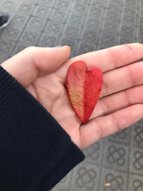 爱离开图片下载