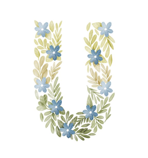 字母U花字母与蓝色的花和绿色的叶子图片下载