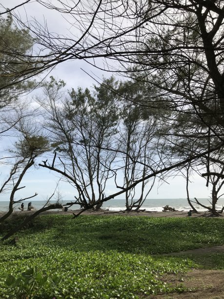 在海滩上图片下载