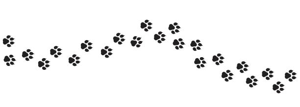 狗脚印图标设置。爪印。矢量在孤立的白色背景。每股收益10图片下载