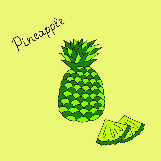 绘制菠萝矢量图。涂鸦绘画风格。图片下载