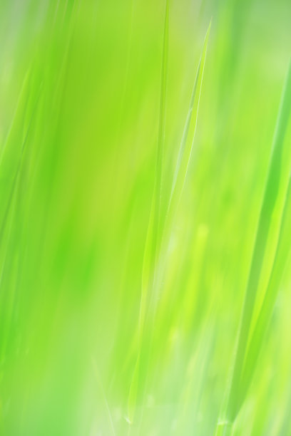 自然背景图片下载