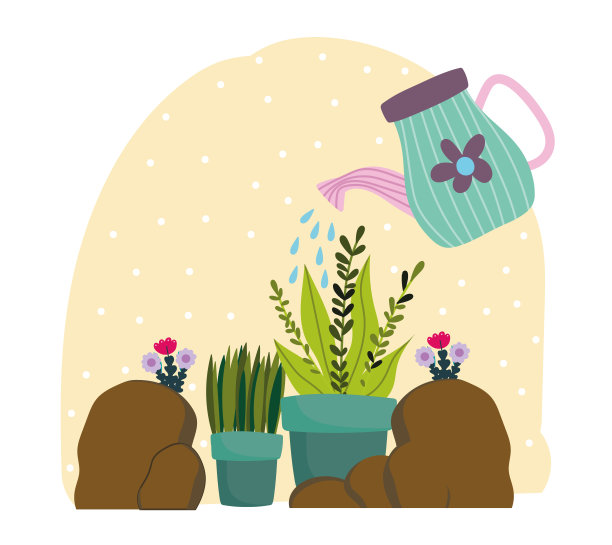 园艺浇水器把水喷到花盆里的植物上图片下载