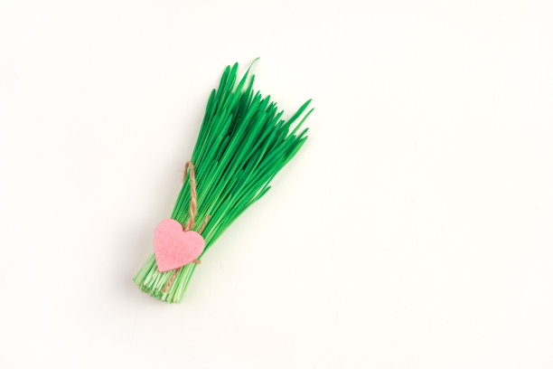 绿色的新鲜草和一个粉红色的心在一个明亮的背景图片下载