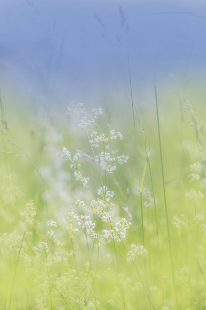 自然柔和的彩色背景图片下载