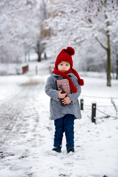 美丽的蹒跚学步的孩子，可爱的男孩，玩在雪天公园冬天的时间图片下载