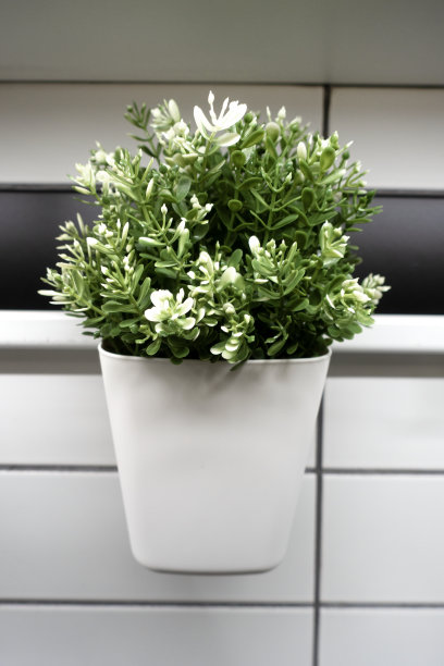 装饰花盆挂在厨房的墙上图片下载