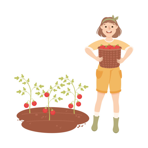 妇女农民或农业工人收集西红柿在柳条篮子矢量插图图片下载