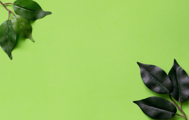 素绿的春色映衬着大自然的绿叶。图片下载