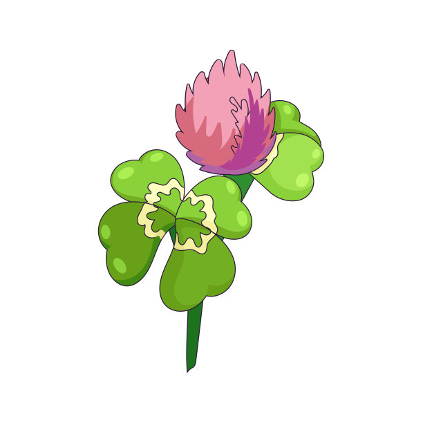 白色孤立背景上有幸运叶的粉色三叶草，矢量开花的荷兰三叶草，四瓣卡通风格的叶子，自然和植物学概念，好运和运气元素，夏季。图片下载