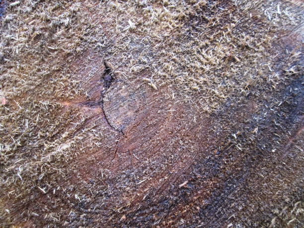 木制背景纹理。图片下载