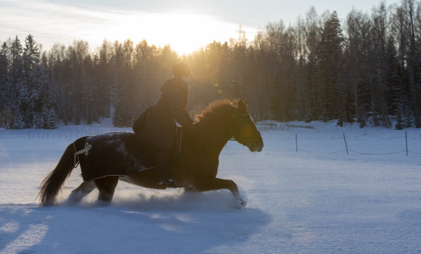 在冬天雪地里骑马的女人图片下载