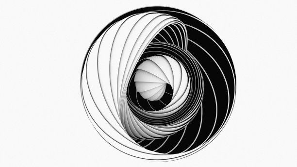 一个在白色背景上复制自己的球体的黑白色调的3D插图。图片下载