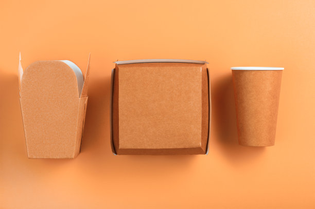 Flatley的一次性纸制食品包装，环保包装。图片下载