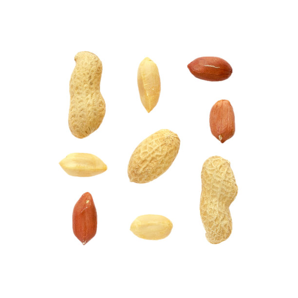 套花生孤立在白色，背景与花生。孤立的花生在一个白色的背景，俯视图。一套未剥皮的花生在壳和谷物。花生孤立。图片下载