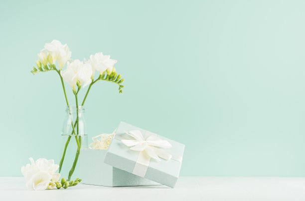 节日背景与打开的方形礼盒和新鲜的白色小苍兰花在优雅的透明花瓶上绿色薄荷薄荷墙壁，白色木桌。图片下载