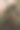 俯视图分子菜肴装饰与树枝和松枝在白雾。图片下载