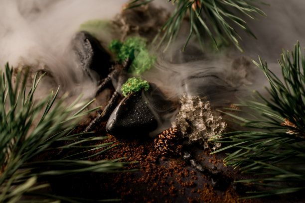 近距离观看松树的树枝，树枝和球果和石头在浓雾图片下载