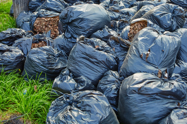 秋天的落叶装在可降解的塑料袋里。公园里的黑色塑料垃圾袋，秋天大扫除。图片下载