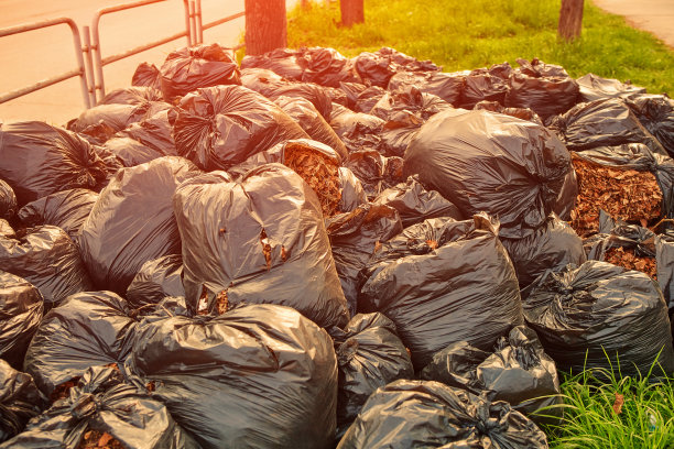 人行道上的塑料袋里装着秋天的落叶。清理城市的街道。清洁地球的概念。图片下载