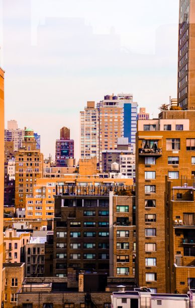 丛林纽约图片下载