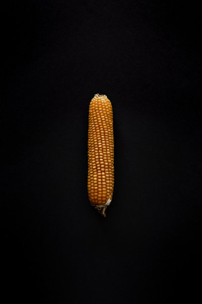 黑色背景上的黄色玉米图片下载