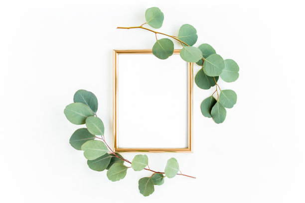 金色的框架上点缀着绿色的树枝和桉树叶，背景是白色的。平放，俯视图图片下载