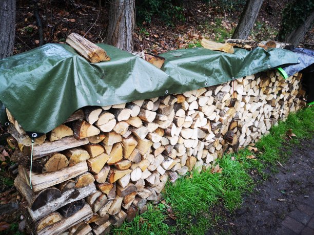 用作壁炉的成堆的原木图片下载