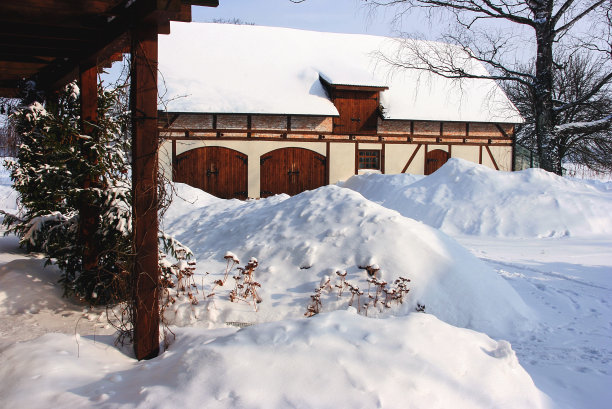 冬天的院子里，满是雪图片下载