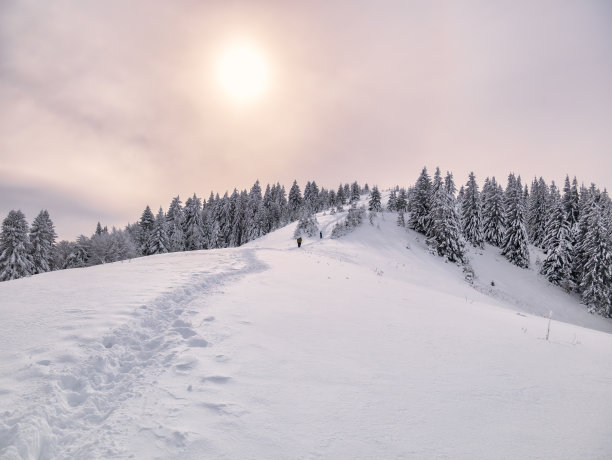冬天的风景有小径或步道在新鲜的白雪和阳光照耀。位于罗马尼亚的喀尔巴阡山脉图片下载
